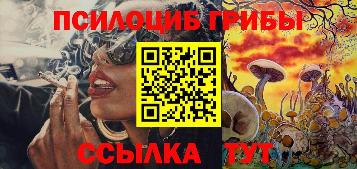 купить наркотик  Вход с VPN  Вышний Волочёк  Псилоцибиновые грибы Cubensis 