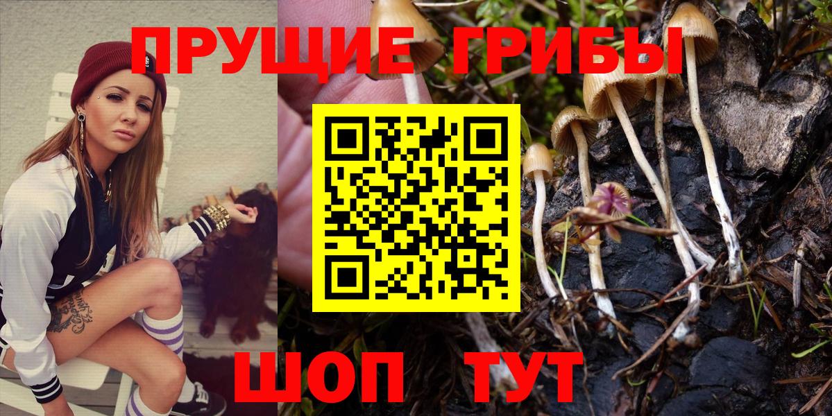 Галлюциногенные грибы мицелий Вышний Волочёк